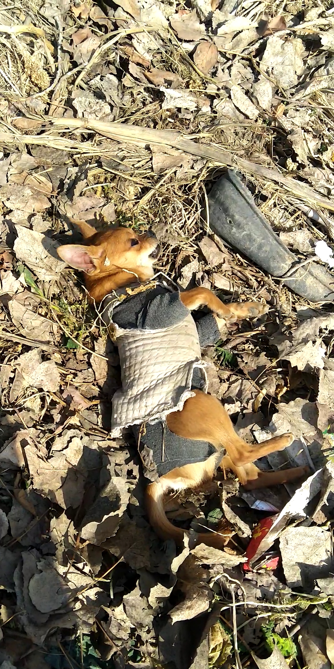 我要上热门#回忆一下在农村的小脏孩