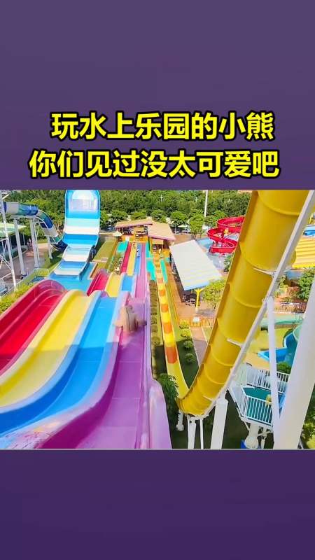 我要上热门#玩水上乐园的小熊,你们见过没 太可爱吧 !