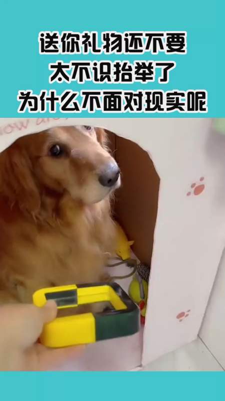 我要上热门#送你礼物还不要,太不识抬举了,为什么不面对现实呢