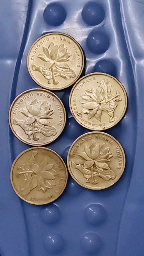 菊花五角币王,发财了.