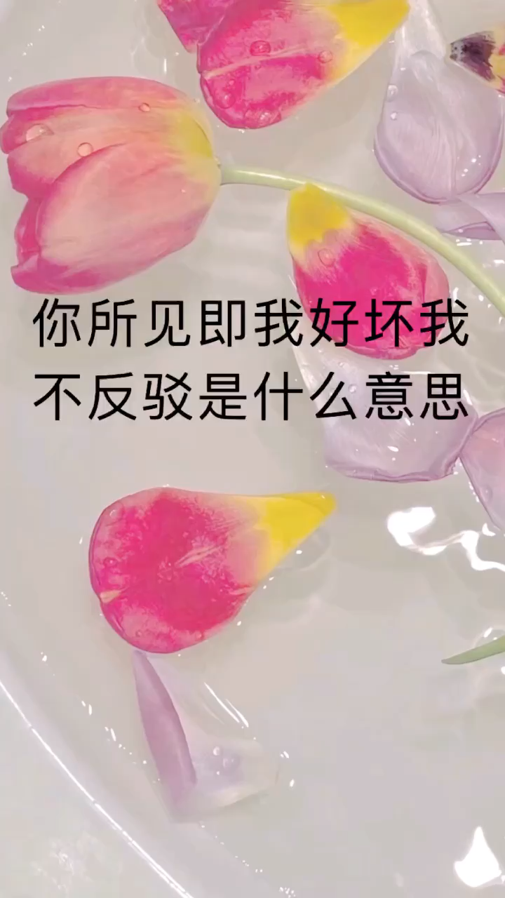 让我来告诉你你所见即我好坏我不反驳是什么意思