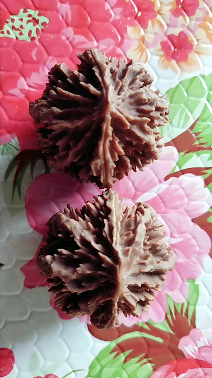 秦岭野生核桃,灯笼,40的