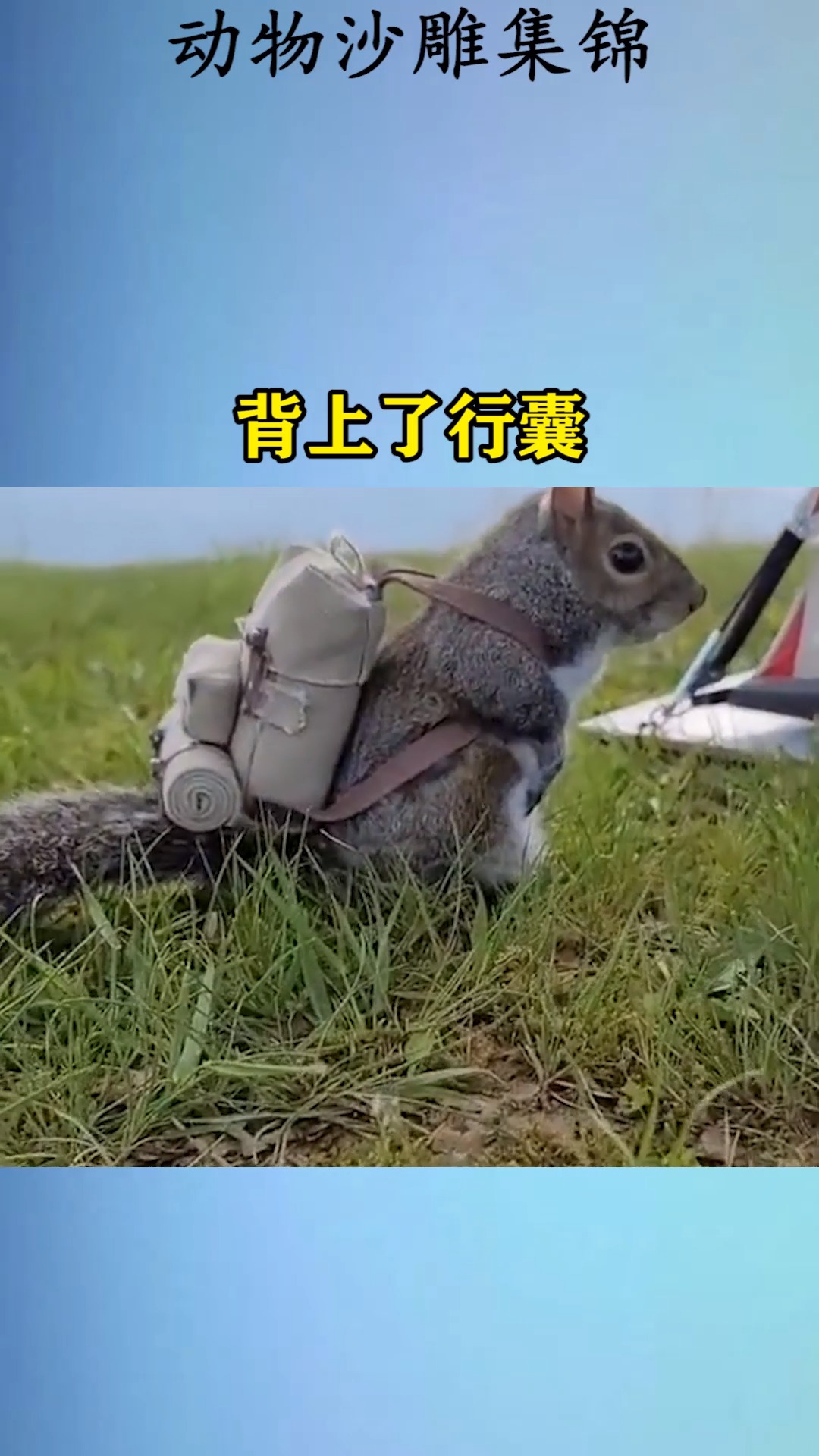 我要上热门#背上了行囊