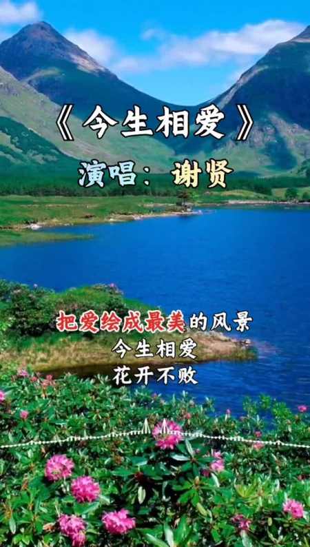 今生相爱花开不败#情感音乐