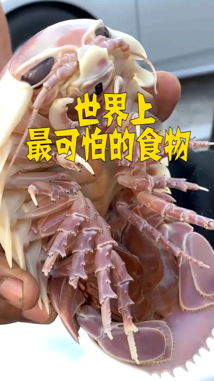 世界上最可怕的食物,保证你不敢尝试