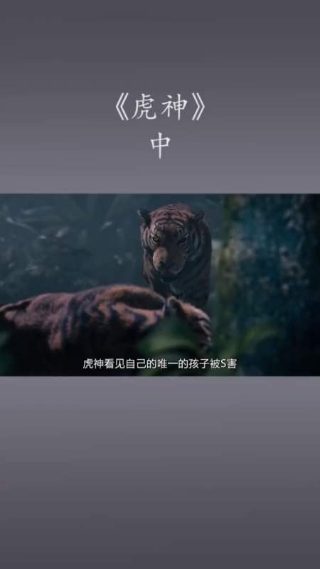 一部泰国奇幻电影,老虎成了精,变成半人半虎,还能让人产生幻觉【中】