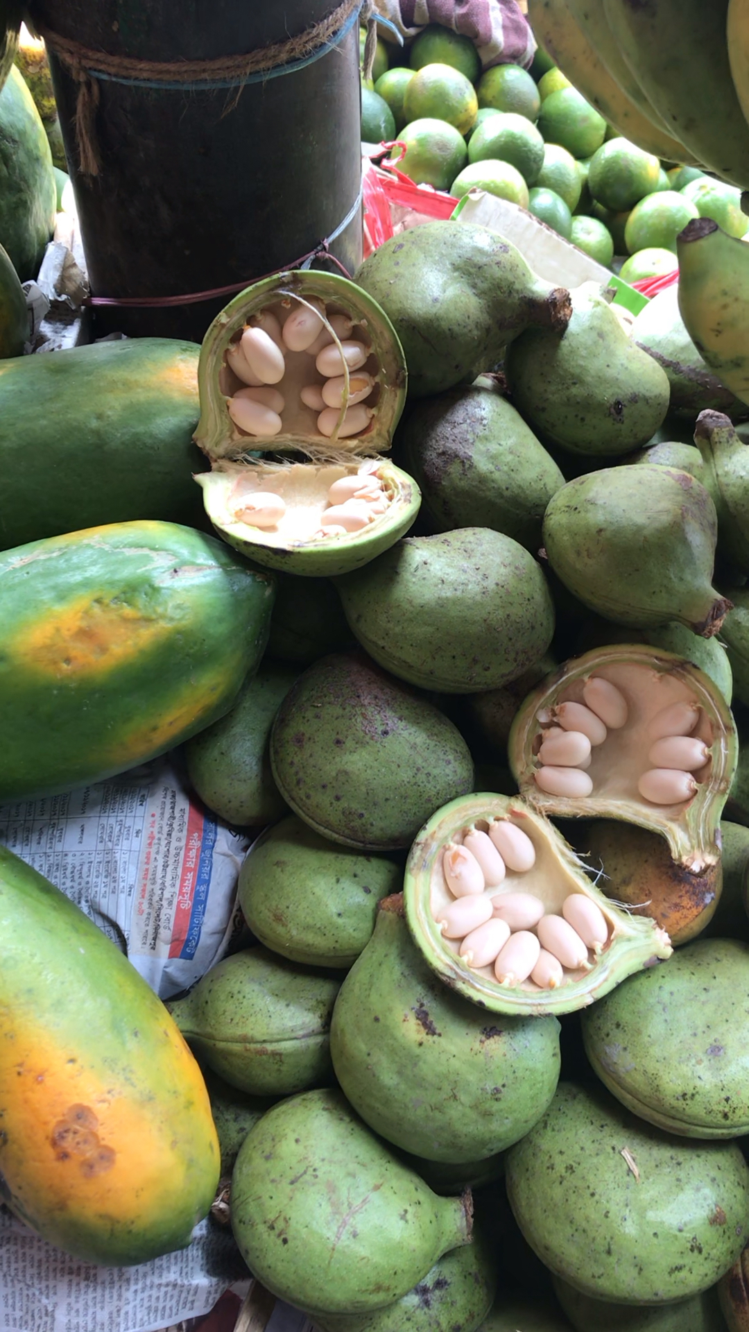 孟加拉特色水果你见过吗?