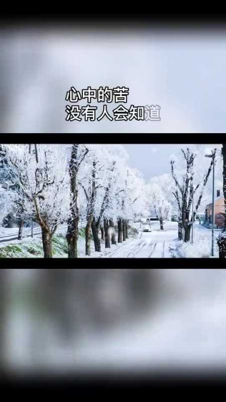 心中的痛没有人会懂,所有的一切只能一个人默默的承受