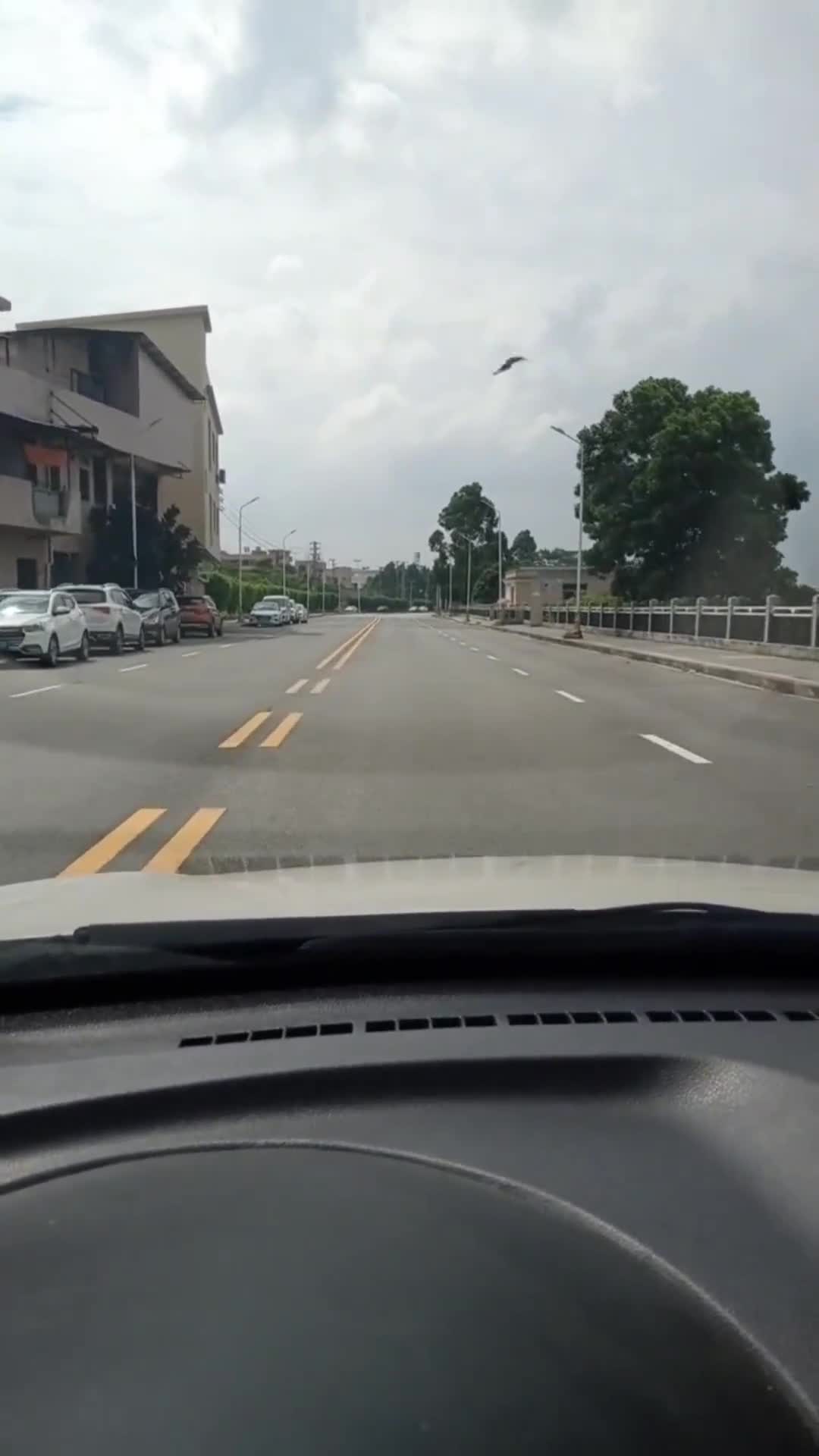 老司机科目三直线行驶讲解,不要再跑偏了